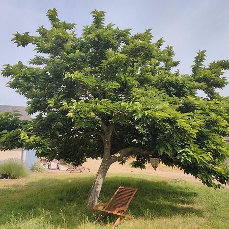 Le Clos Champetre Longué Esterno foto